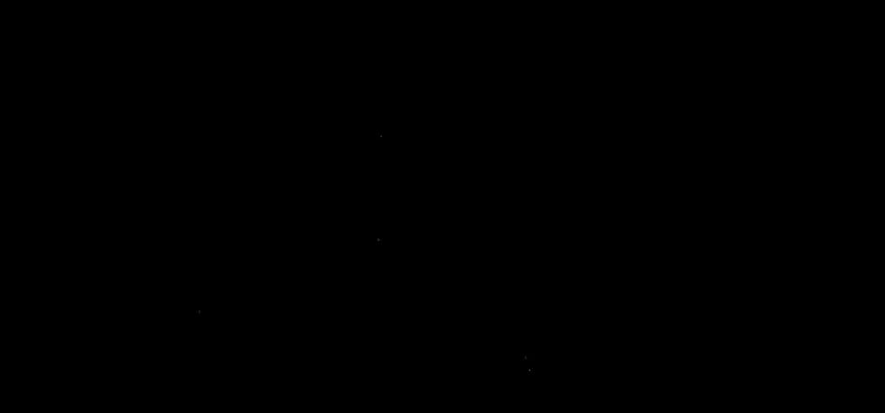 Diego Miescher's signature